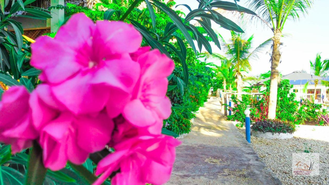 פאג'ה Jabali Bungalows Lodge מראה חיצוני תמונה